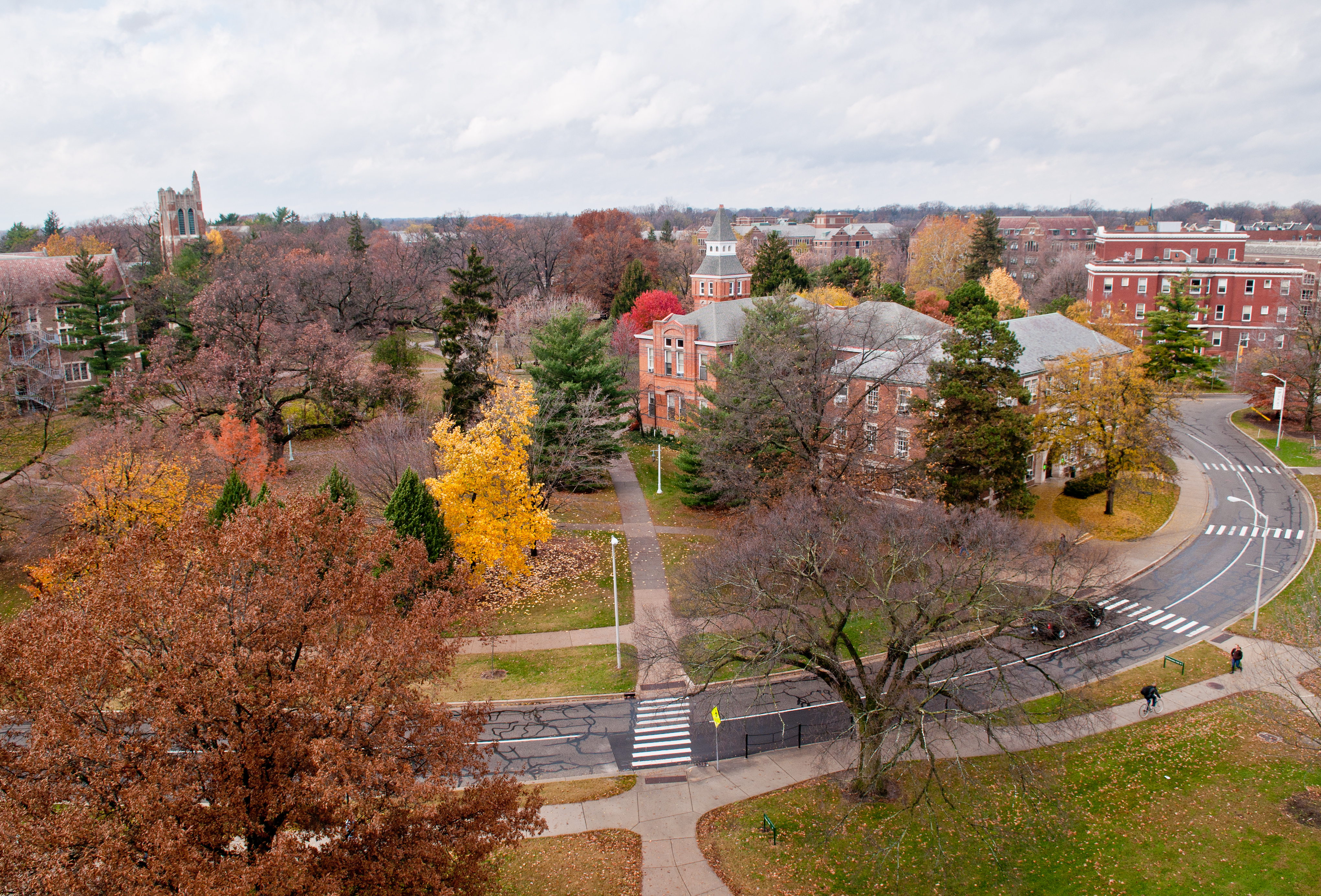 An elevated view of a Michigan State university campus in the autumn. The trees show off vibrant red, yellow, and brown fall foliage. A prominent red-brick building with a white cupola stands in the center, surrounded by winding roads, sidewalks, and green lawns dotted with fallen leaves.